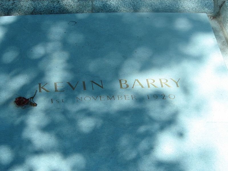 Image result for kevin barry's grave